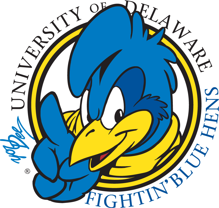 Delaware Blue Hens 1999-2009 Mascot Logo v15 iron on transfers for clothing